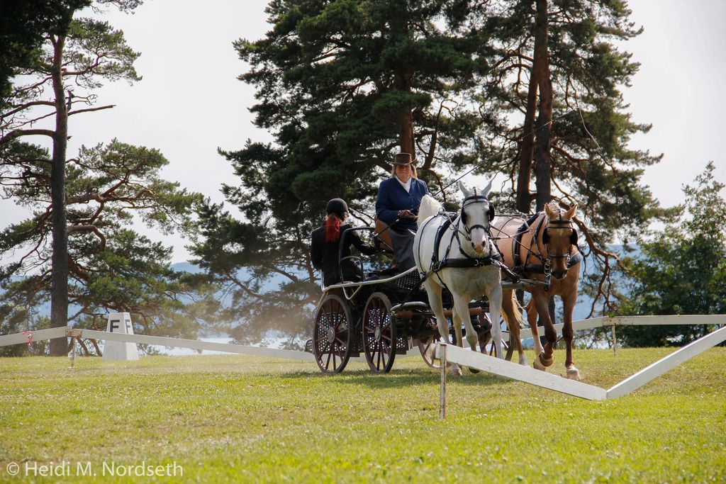  photo _MG_0629_zps7mtmoxdu.jpg