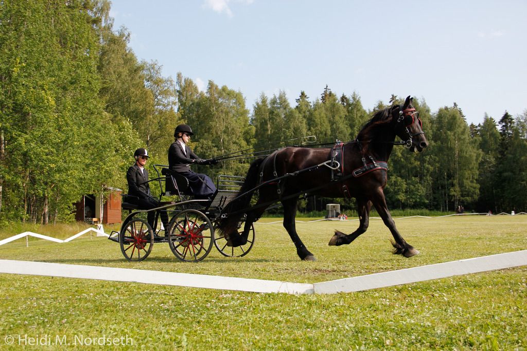  photo _MG_0655 1_zpsimlm8ibv.jpg