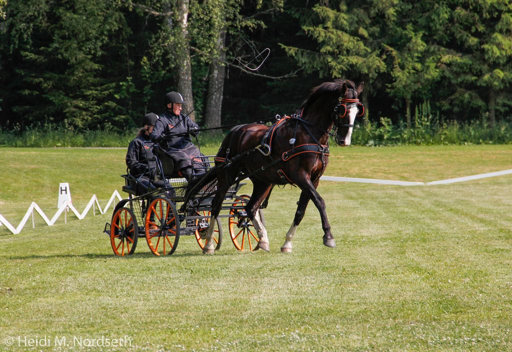  photo _MG_0670_zps9htenoe4.jpg