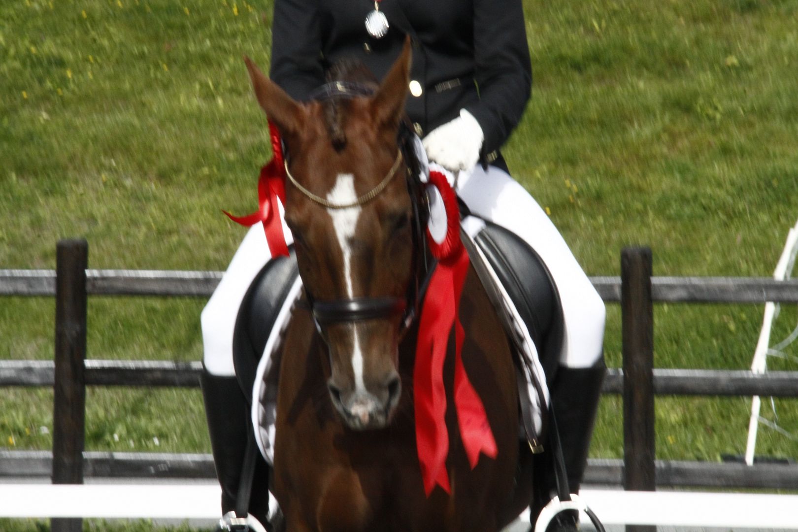  photo _MG_17301_zpsiex0iig0.jpg