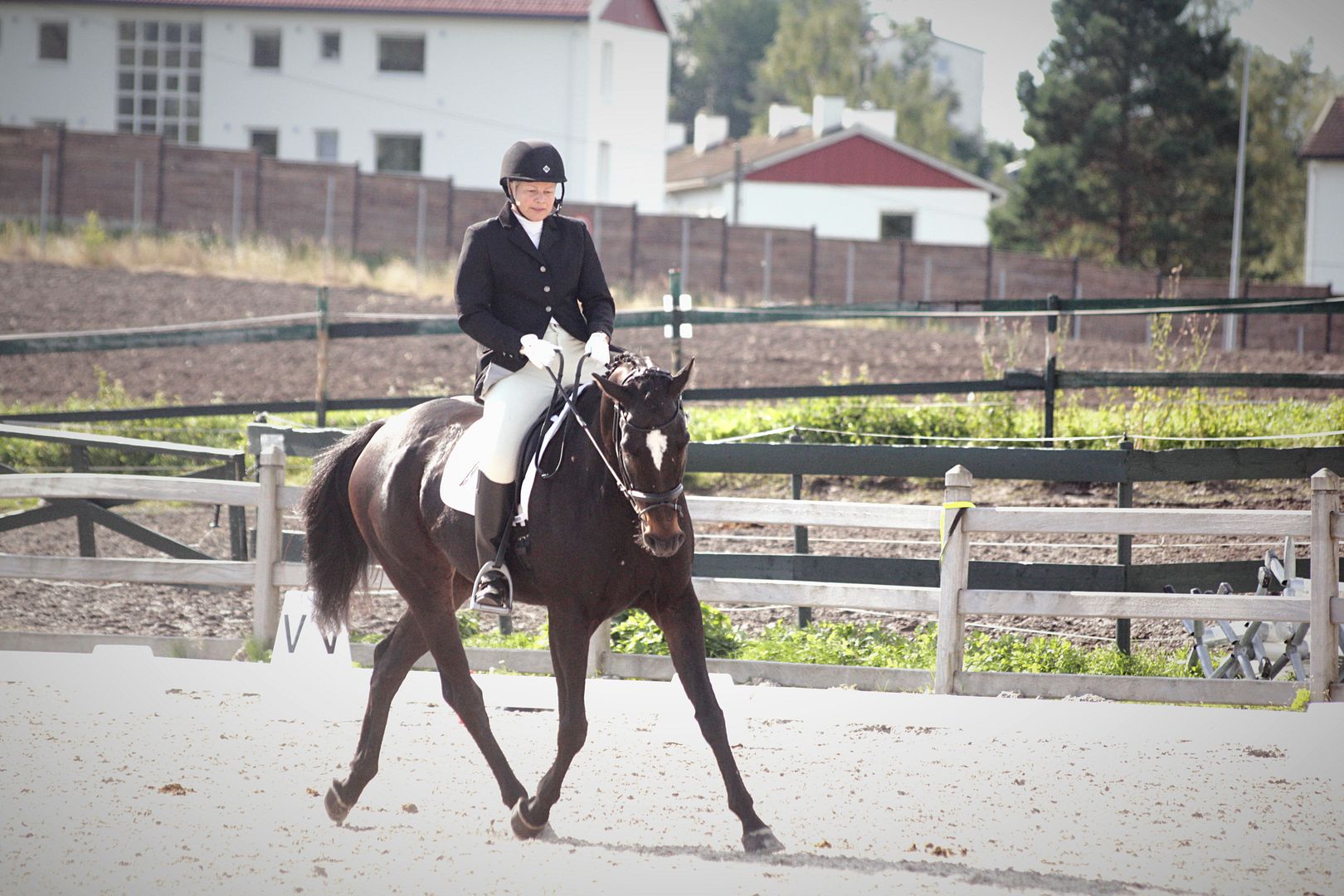  photo _MG_6137_Fotor_zpstxgi8ilm.jpg