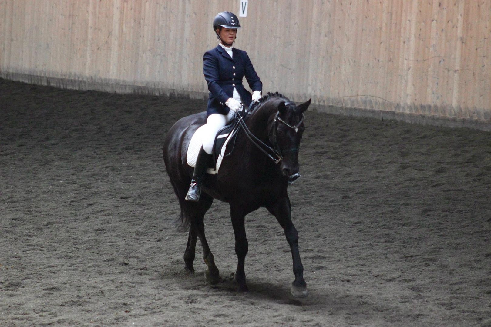  photo bilde 2_zpsugdenlej.jpg