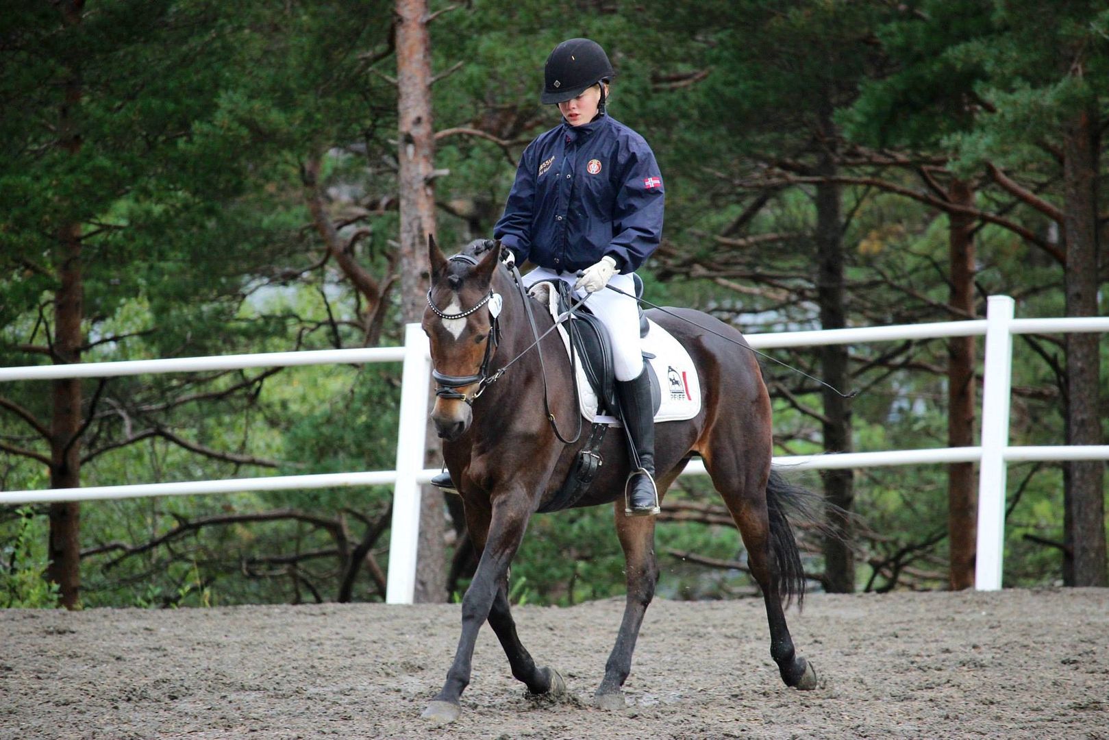  photo bilde 4_zps7v0afsx2.jpg