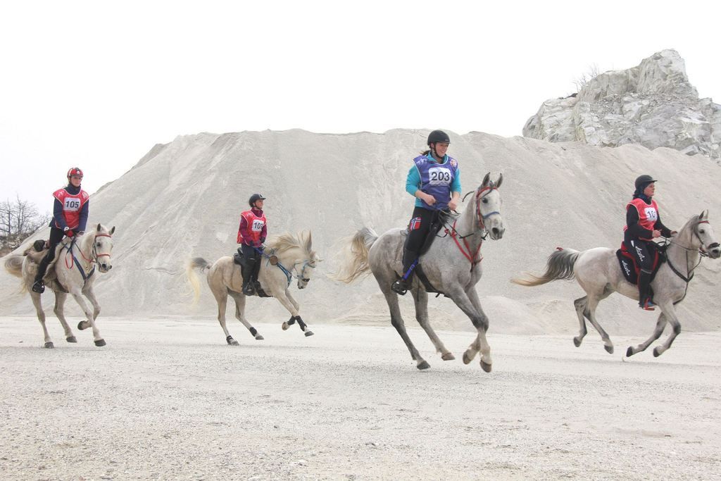 Okka Ritt. Foto Tina Huse Nygård photo bilde 8_zpsvmxui4yt.jpg