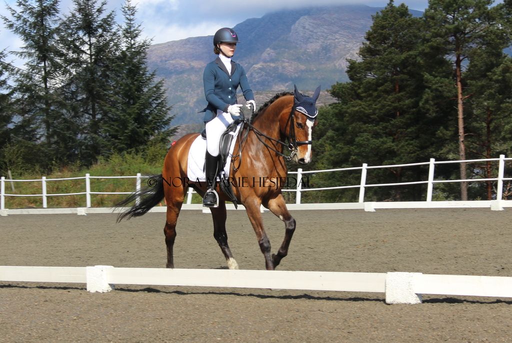 Flora photo image 6_zpss7kqtc0g.jpeg