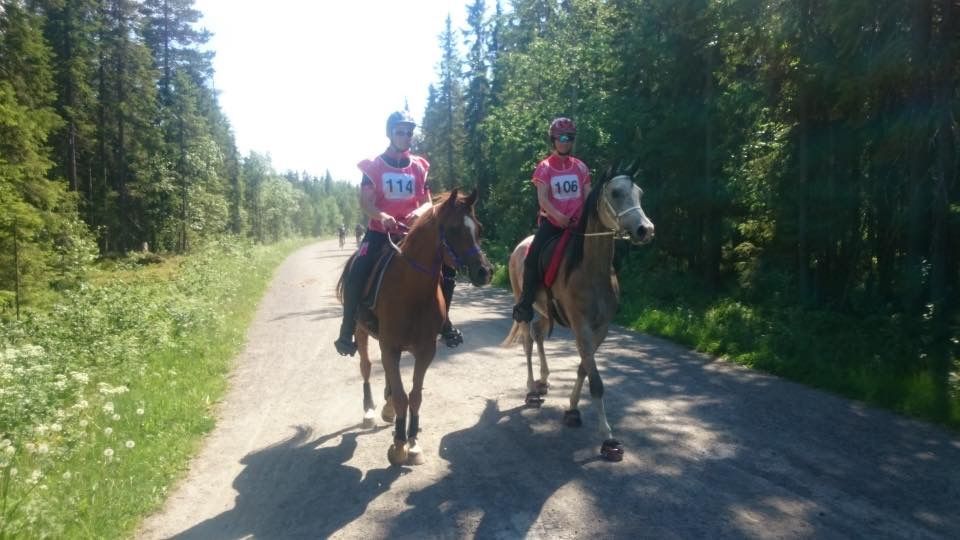 Distanseritt Lillehammer photo image1_zpszesdzynt.jpg