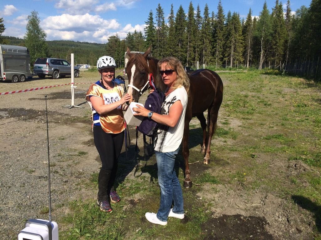 Distanseritt Lillehammer photo image2_zpscfqqbivk.jpg