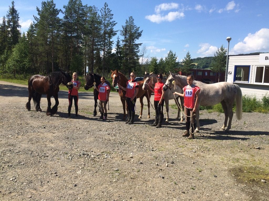 Distanseritt Lillehammer photo image3_zpso5xnpov4.jpg