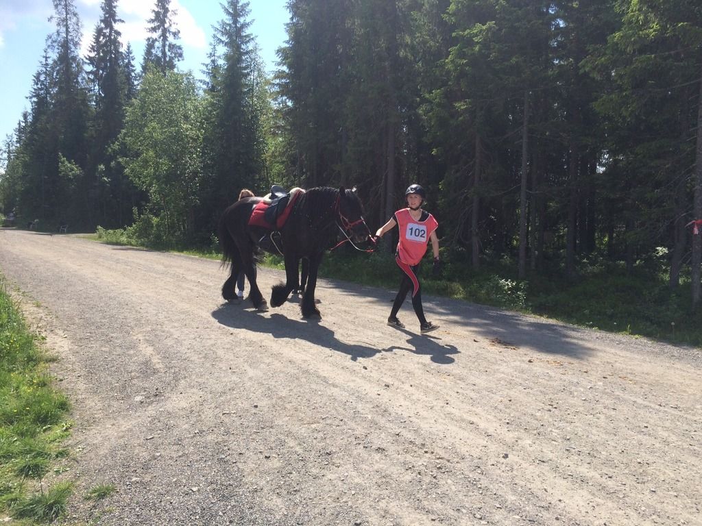 Distanseritt Lillehammer photo image4_zpsuasue4eh.jpg