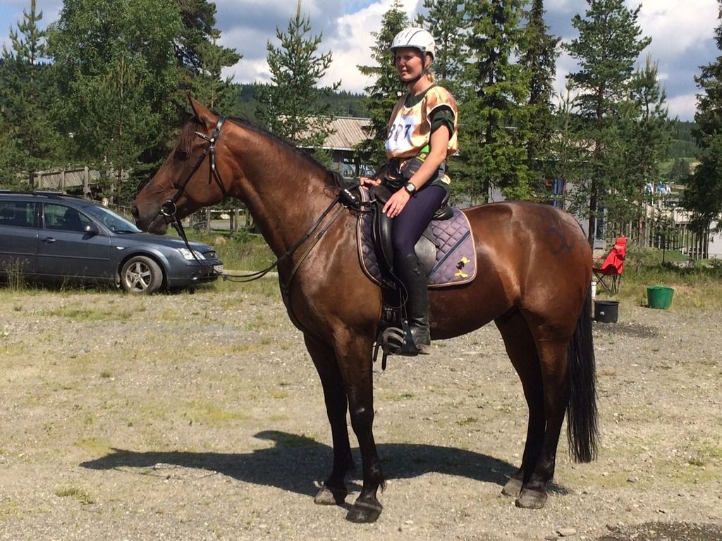 Distanseritt Lillehammer photo image5_zpsqdv3ihok.jpg