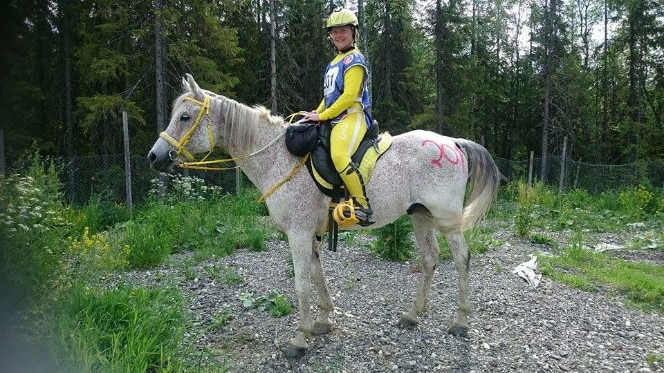 Distanseritt Lillehammer photo image8_zpshdckg7by.jpg