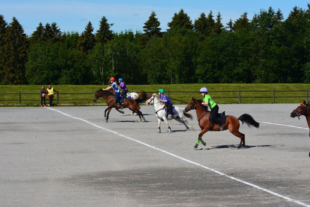  photo m_zpsbxnuwxqa.jpg