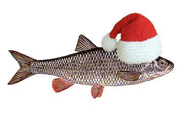 santa_Leuciscus_cephalus.jpg