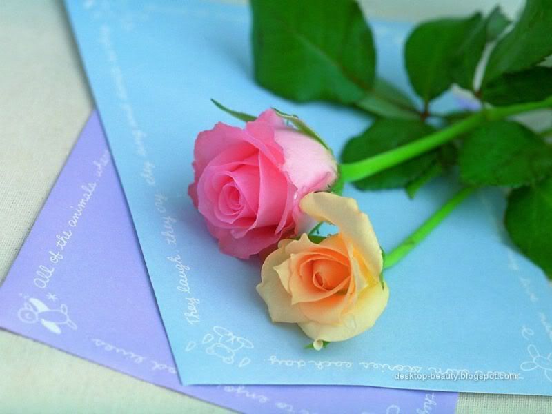 beautifulroses.jpg%20beautiful%20roses%20image%20by%20Chez21