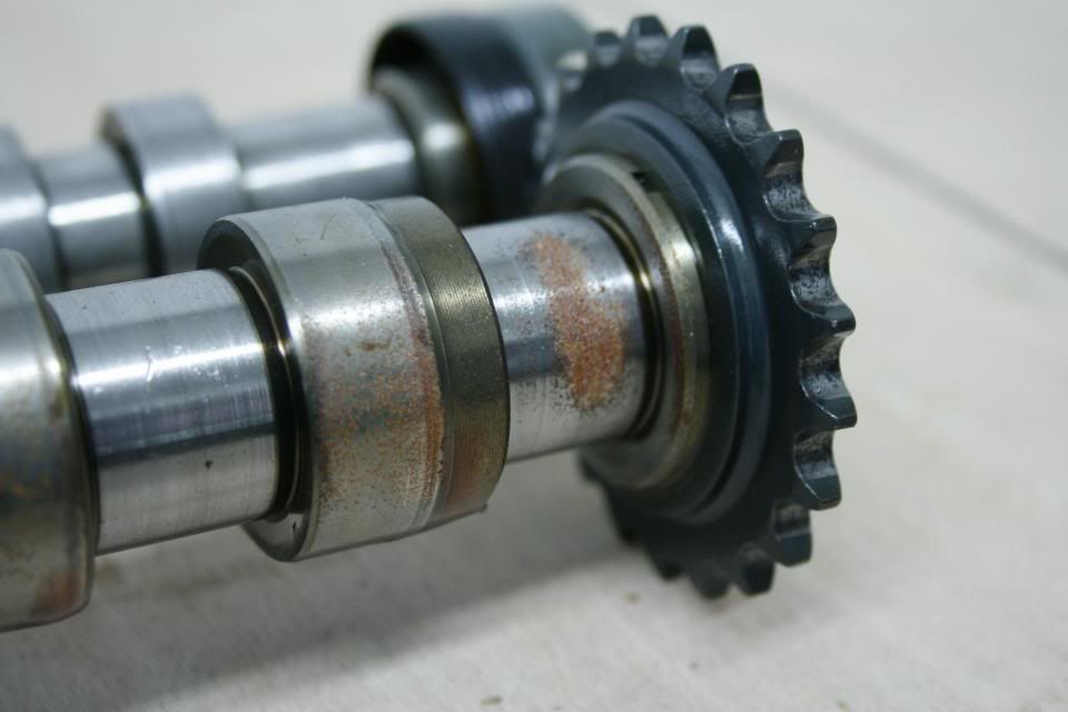 547686_150090295116490_124288387696681_183272_518292146_n.jpg