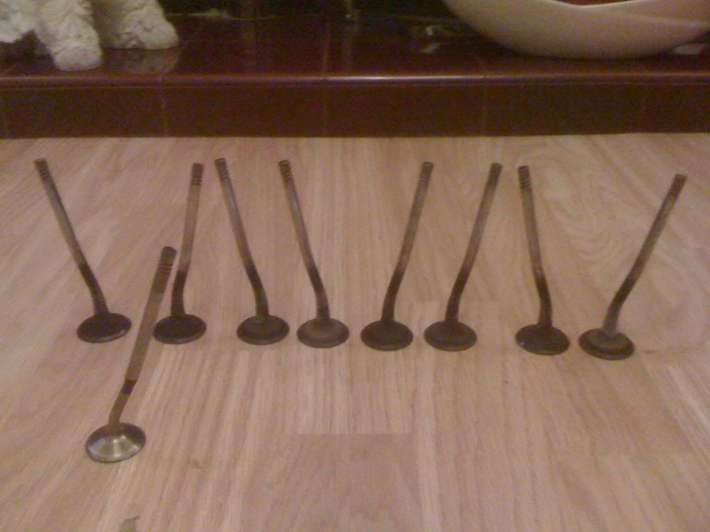 photo3.jpg