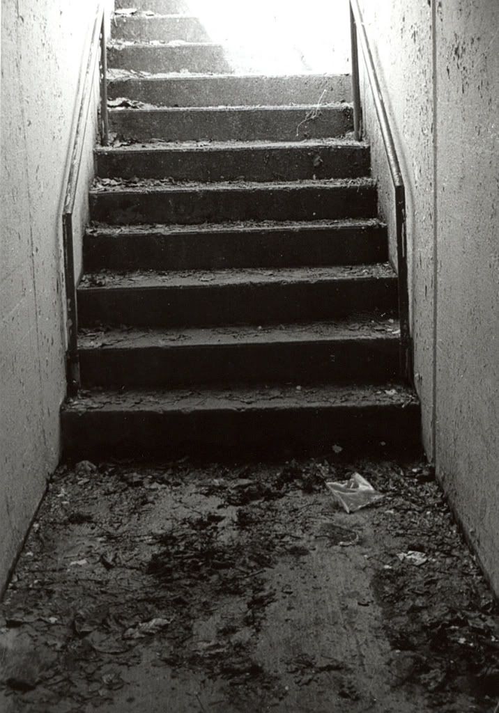 stairs2.jpg