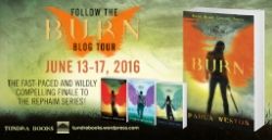  Burn Blog Tour