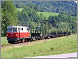 Es gibt noch Sternstunden im Leben eines Eisenbahnfotografen. Mit der 2095.05 wurde der Gterzug zum Bilderbuchzug! Hier fhrt der Zug zwischen Opponitz und Seeburg durch die sommerliche Landschaft. (11.07.2006)