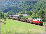 Hier ist die 2095.05 mit dem beladenen Holzzug 72292 bei Saimannslehen auf dem Weg nach Waidhofen an der Ybbs.