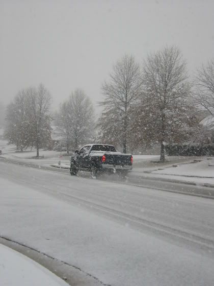 snowy015.jpg