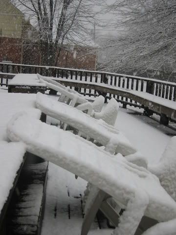 snowy021.jpg