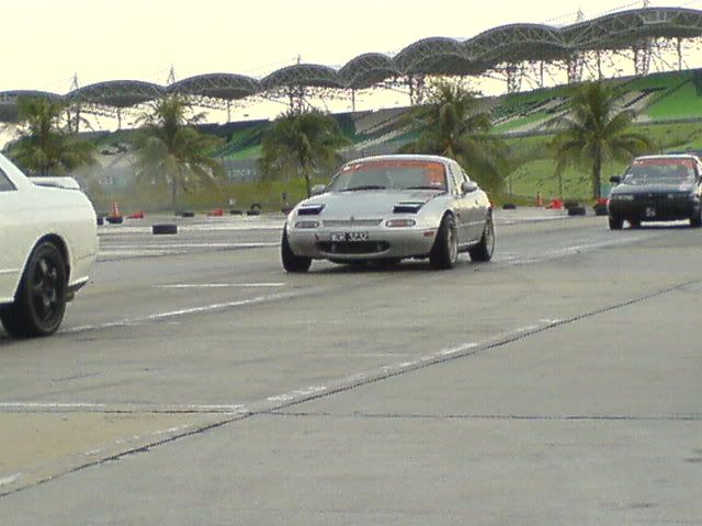 DSC01206.jpg