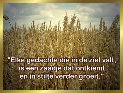 Klik op de afbeelding om de link te volgen