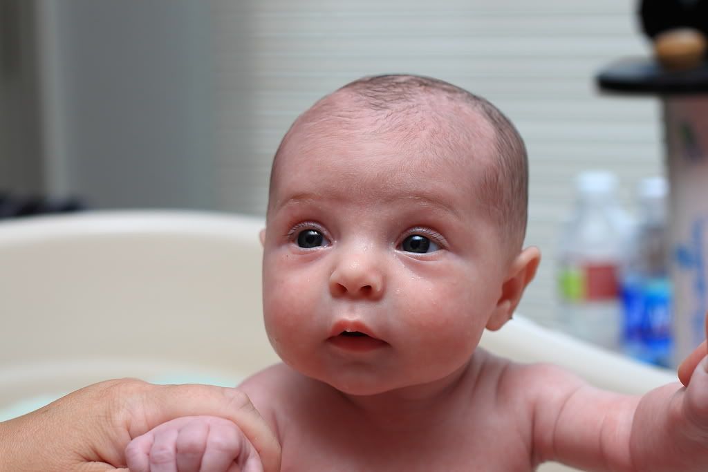 IMAGE: http://i34.photobucket.com/albums/d122/jasons_r1/Charlotte/IMG_2187.jpg