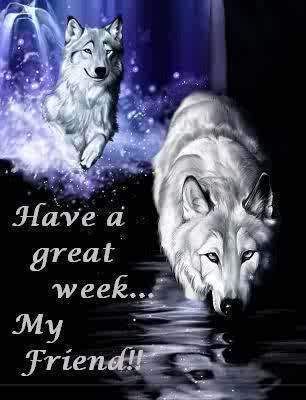 Have a great week wolf Pictures, Images and Photos