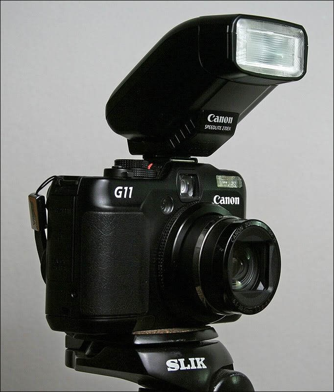 IMAGE: http://i34.photobucket.com/albums/d125/algold9/270ex_3.jpg