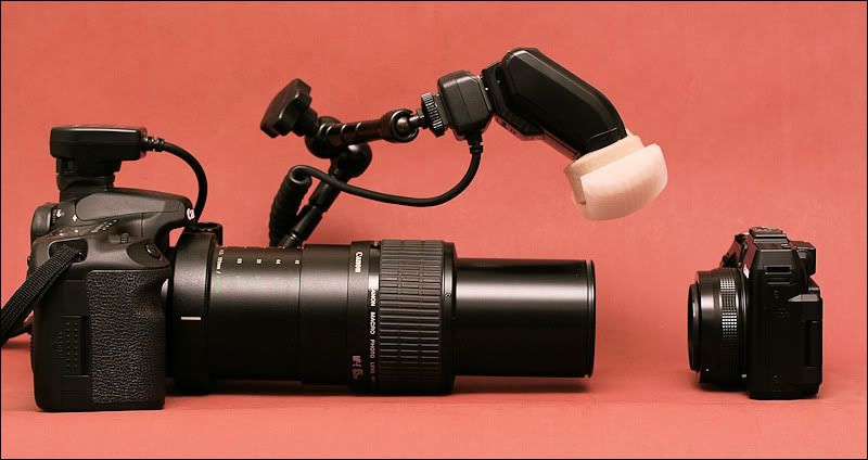 IMAGE: http://i34.photobucket.com/albums/d125/algold9/IMG_5363_1.jpg