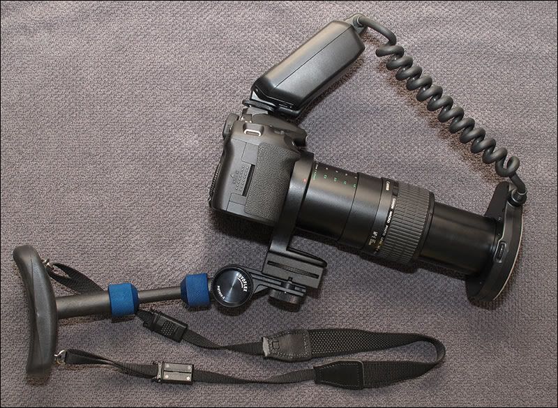 IMAGE: http://i34.photobucket.com/albums/d125/algold9/bazooka_1589_1.jpg