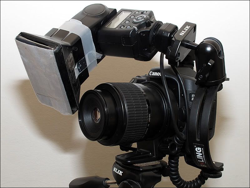 IMAGE: http://i34.photobucket.com/albums/d125/algold9/bracket_1558_1.jpg