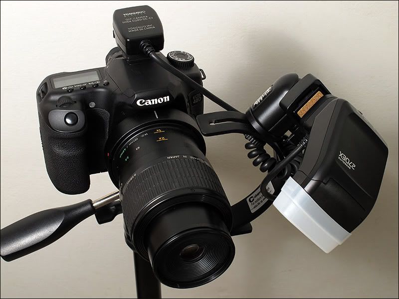 IMAGE: http://i34.photobucket.com/albums/d125/algold9/macro_rig.jpg