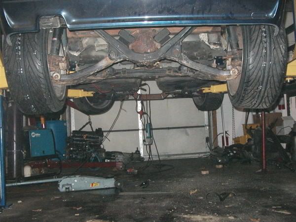 corradorwdpics040.jpg