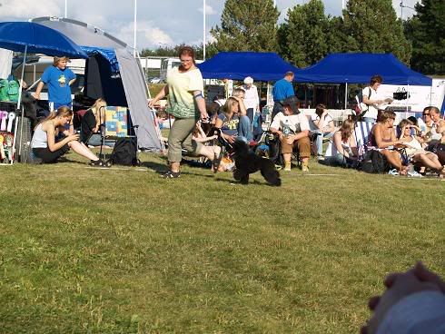 Hundefestivalen389.jpg