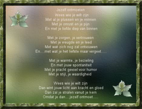 jezelfontmoetenvzui0.jpg spreuk3 picture by nekkie122