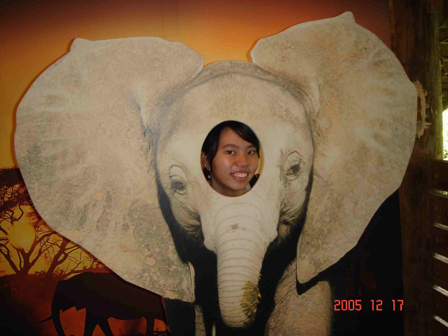 Image hosted by Photobucket.com