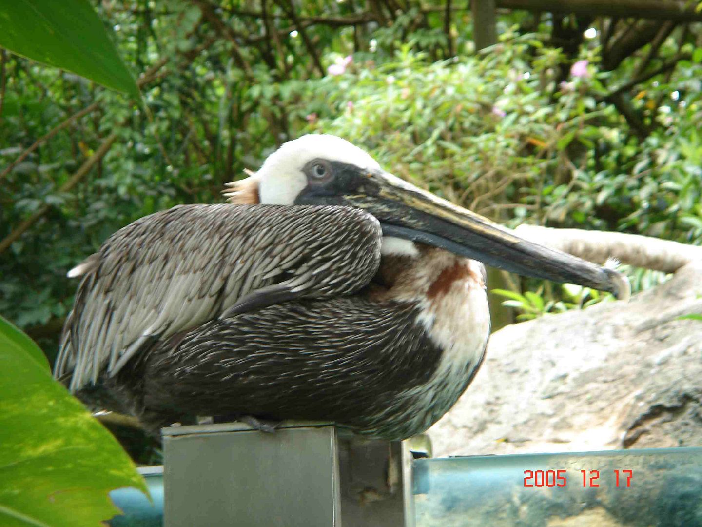 Image hosted by Photobucket.com