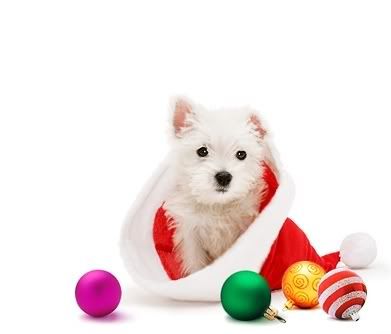 [img width=391 height=334]http://i34.photobucket.com/albums/d127/plukjegeluk/plukjegeluk%202/kersthondje.jpg[/img]