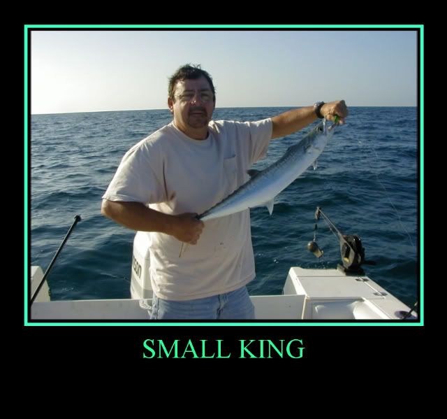 kingfish2.jpg