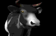 3D_cow.gif