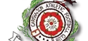 carshaltonn.png
