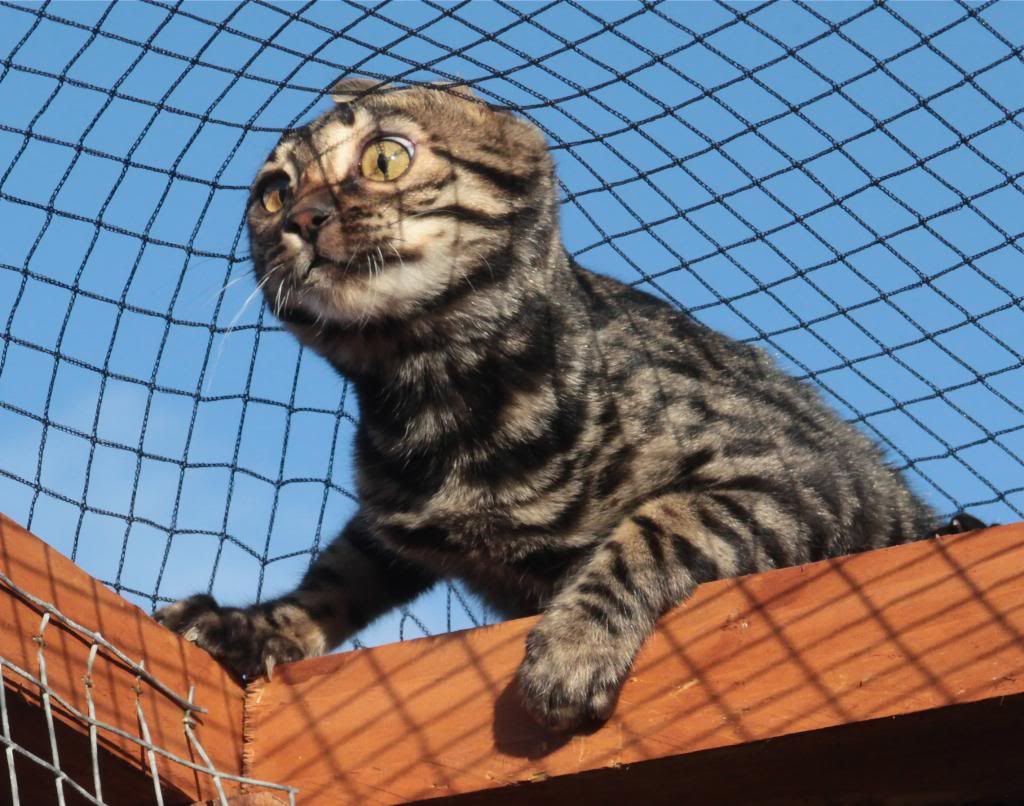 IMAGE: http://i34.photobucket.com/albums/d129/damnfoolman/IMG_2167_zpsa95a564f.jpg