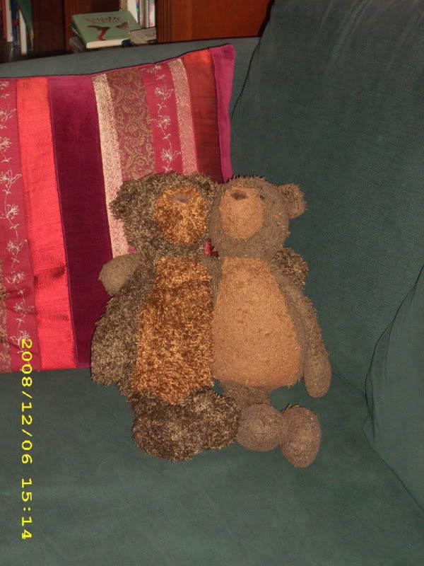 http://i34.photobucket.com/albums/d130/sozobe/bearyandharry.jpg