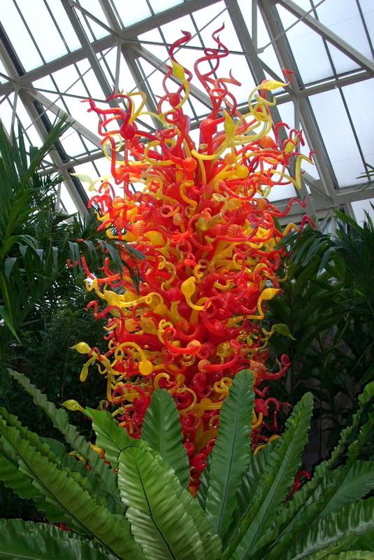 http://i34.photobucket.com/albums/d130/sozobe/chihuly.jpg