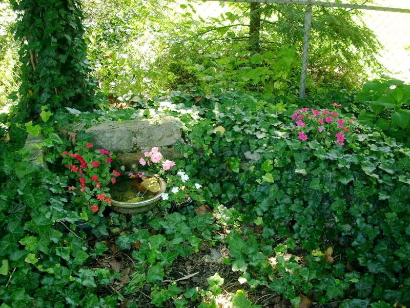 http://i34.photobucket.com/albums/d130/sozobe/garden.jpg