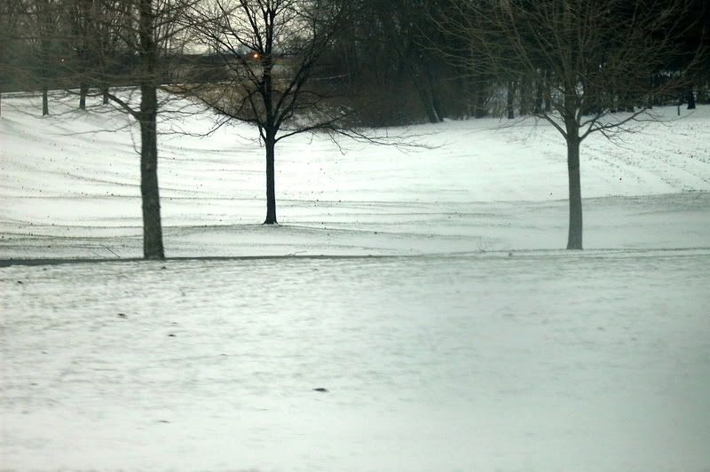 http://i34.photobucket.com/albums/d130/sozobe/winterlandscape.jpg