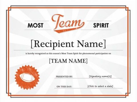 Team-Spirit-Award-480x360_zps78a41892.jpg